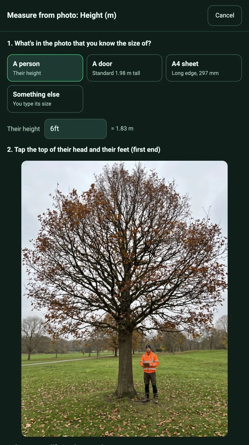 Measure from photo with a photo of an oak and a surveyor in hi-vis beside it, and the reference choices A person, A door, A4 sheet and Something else, with their height set to 6ft