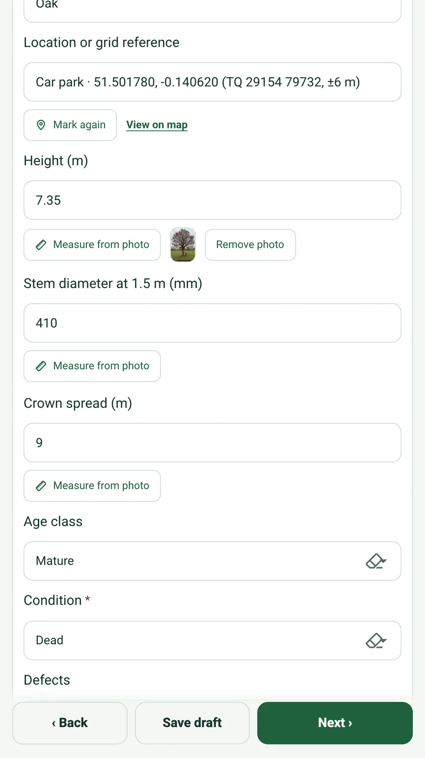 The Height (m) field filled in with 7.35, the marked-up photo as a thumbnail beside Measure from photo, and a Remove photo button