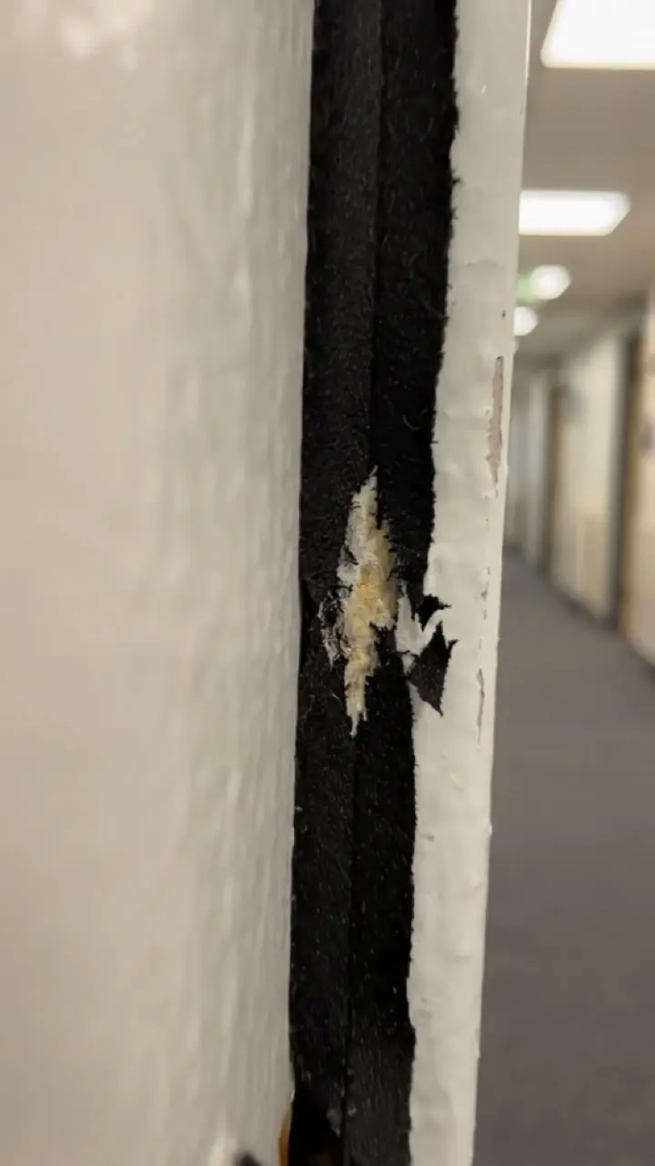 A torn intumescent strip in the hinge edge of a fire door frame