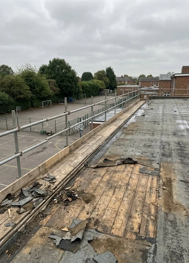 The edge of a flat school roof with double scaffold guardrails and toeboards, old felt stripped back to the timber deck, a school yard and trees below