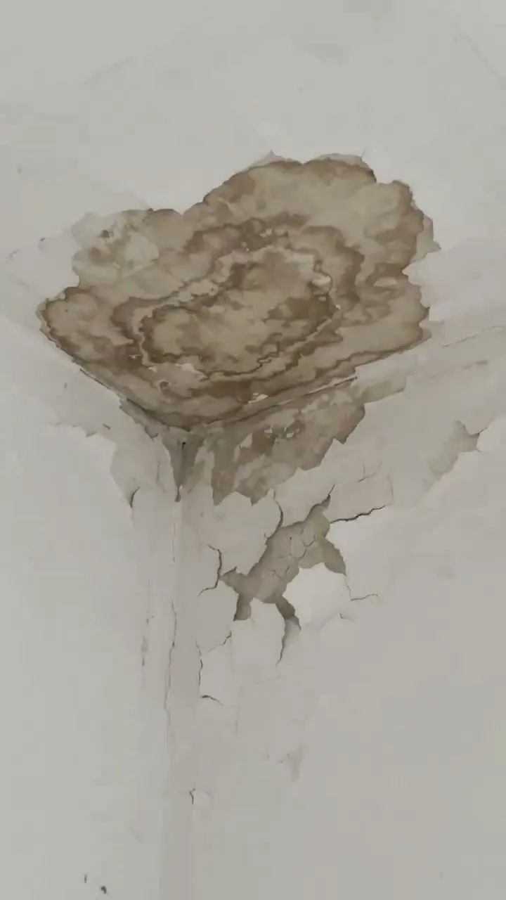 Brown water stain with flaking plaster in the corner of a white ceiling in an empty room