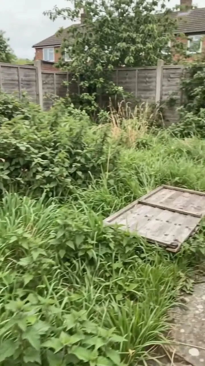 Overgrown back garden with a fallen fence panel lying in long grass