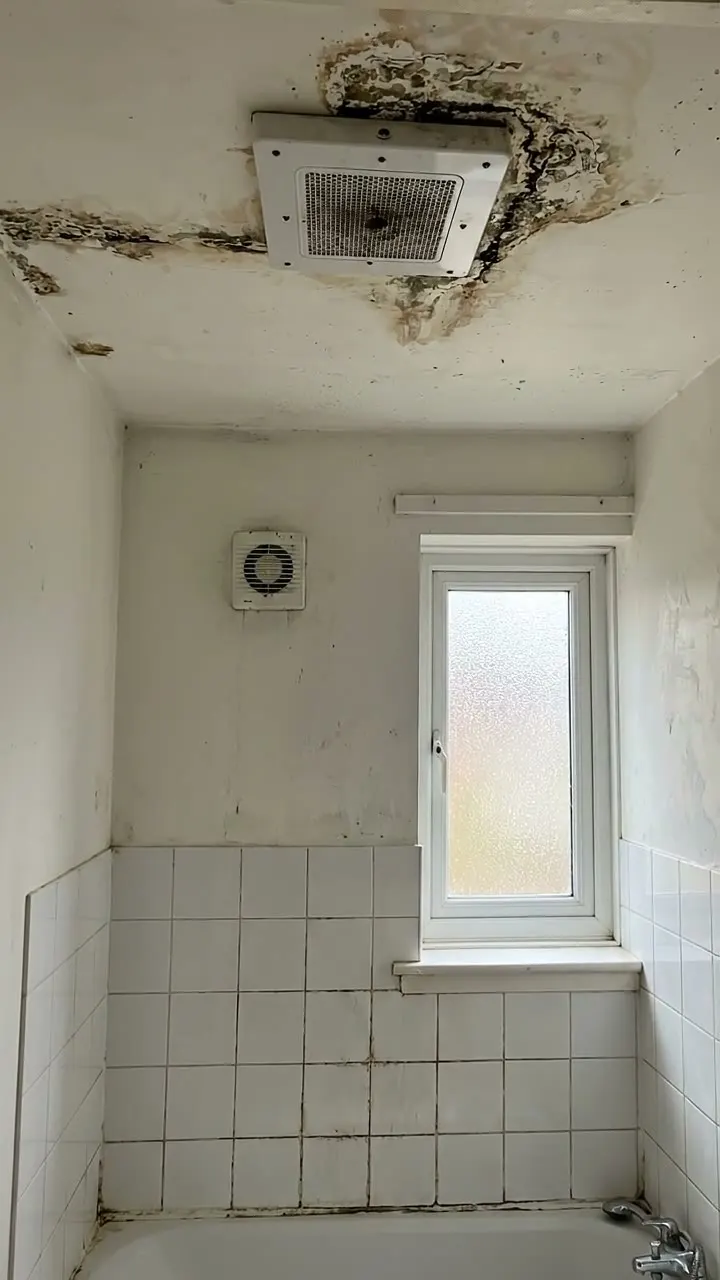 Bathroom ceiling stained with black mould around a square extractor grille above a tiled bath