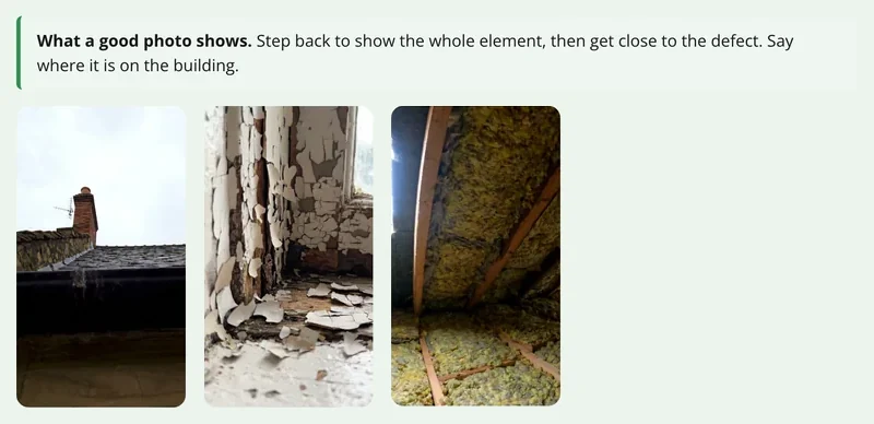 Three reference photos in the building survey form: a roofline and gutter, failed paint on a window, and a roof space
