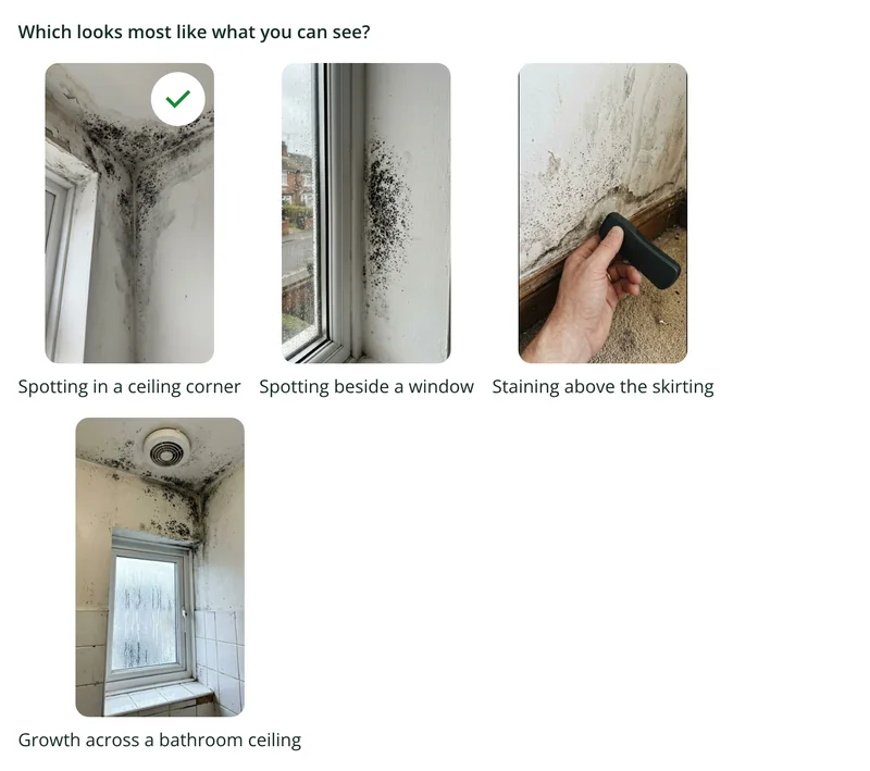 A picture choice in the damp and mould form with four reference photos of mould