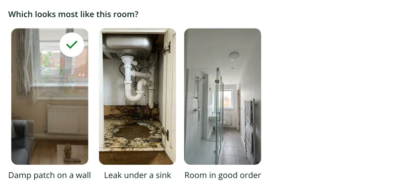 A picture choice in the property inspection form with reference photos of a damp patch, a leak under a sink and a bathroom in good order