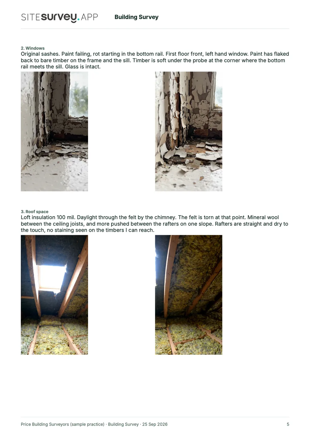 Building survey report, page 5