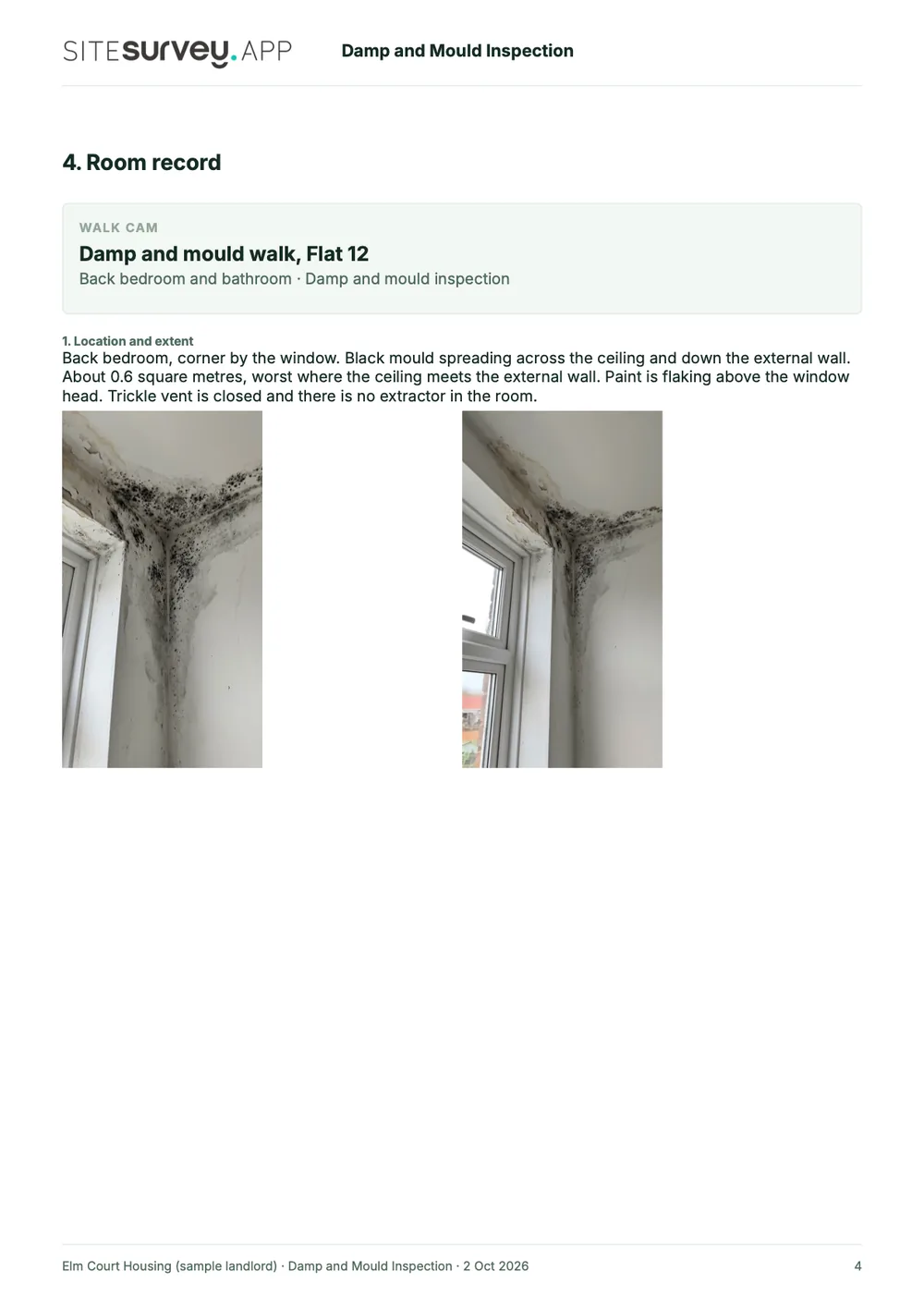 Damp and mould inspection report, page 4