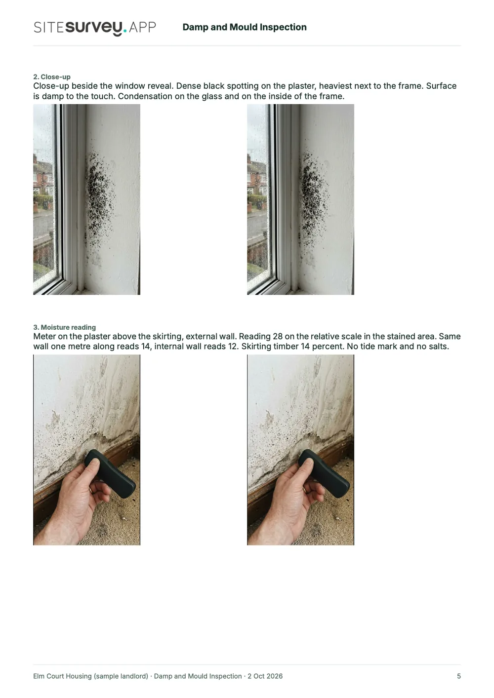 Damp and mould inspection report, page 5