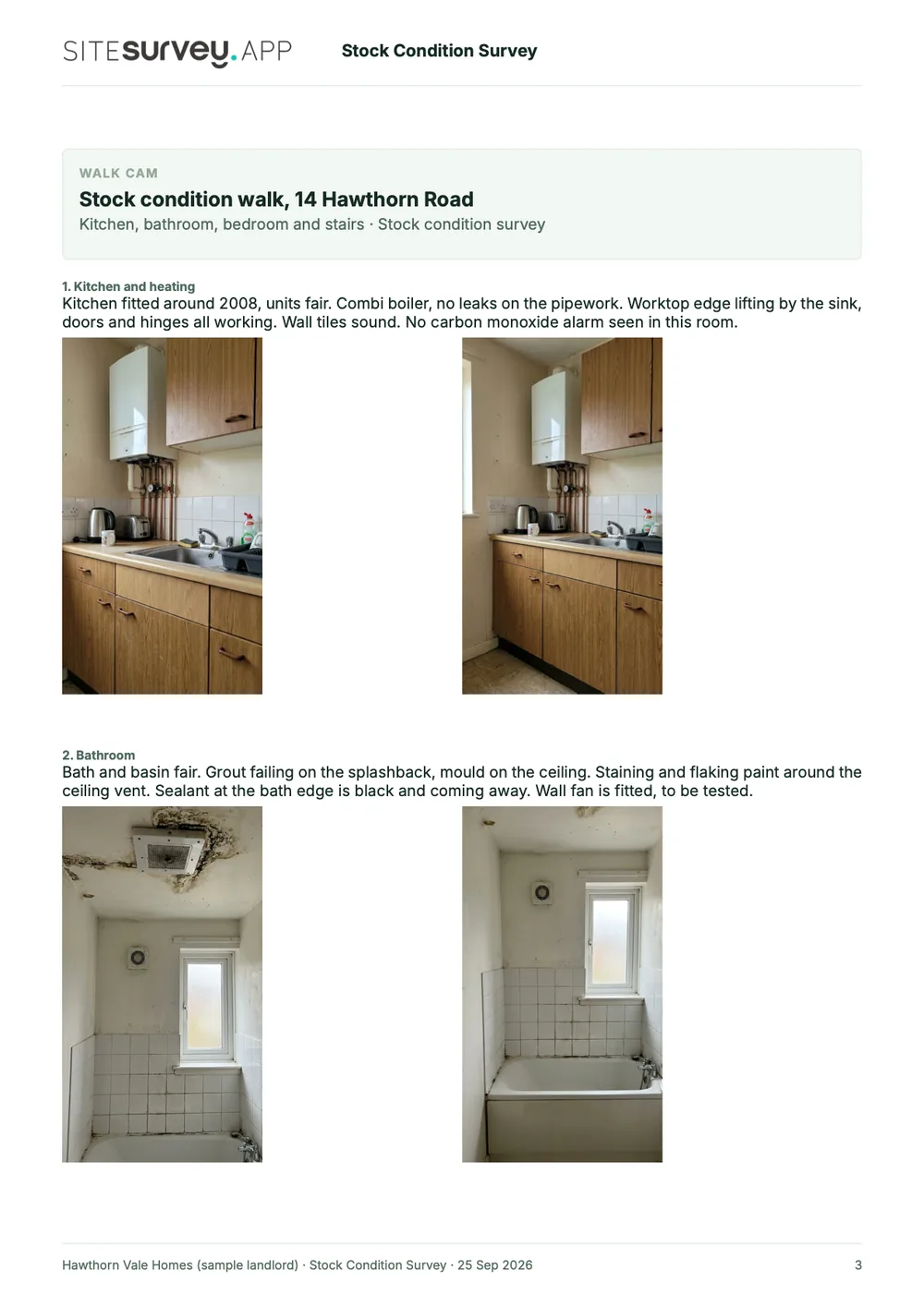 Stock condition survey report, page 3