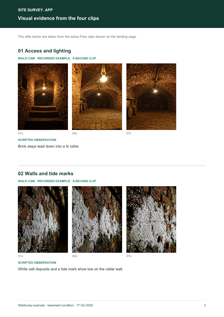 Visual evidence page from the basement and cellar inspection visual route sample report, with footage stills and observations