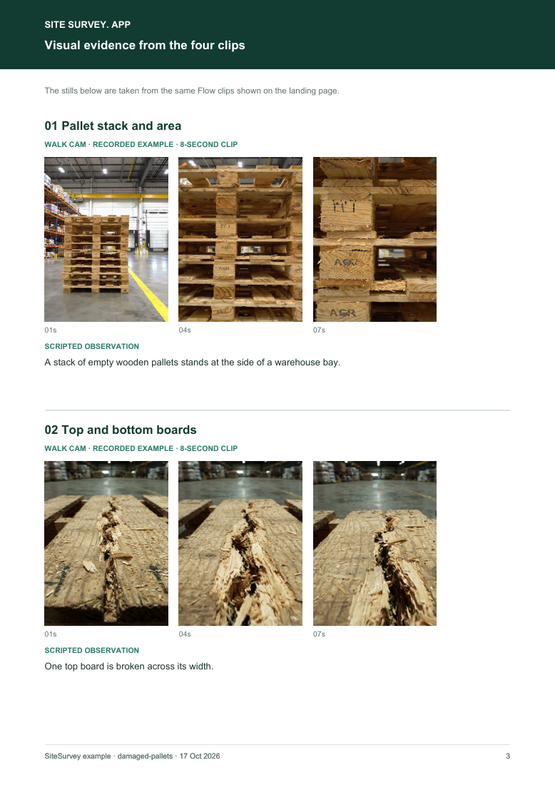 Visual evidence page from the pallet inspection visual route sample report, with footage stills and observations