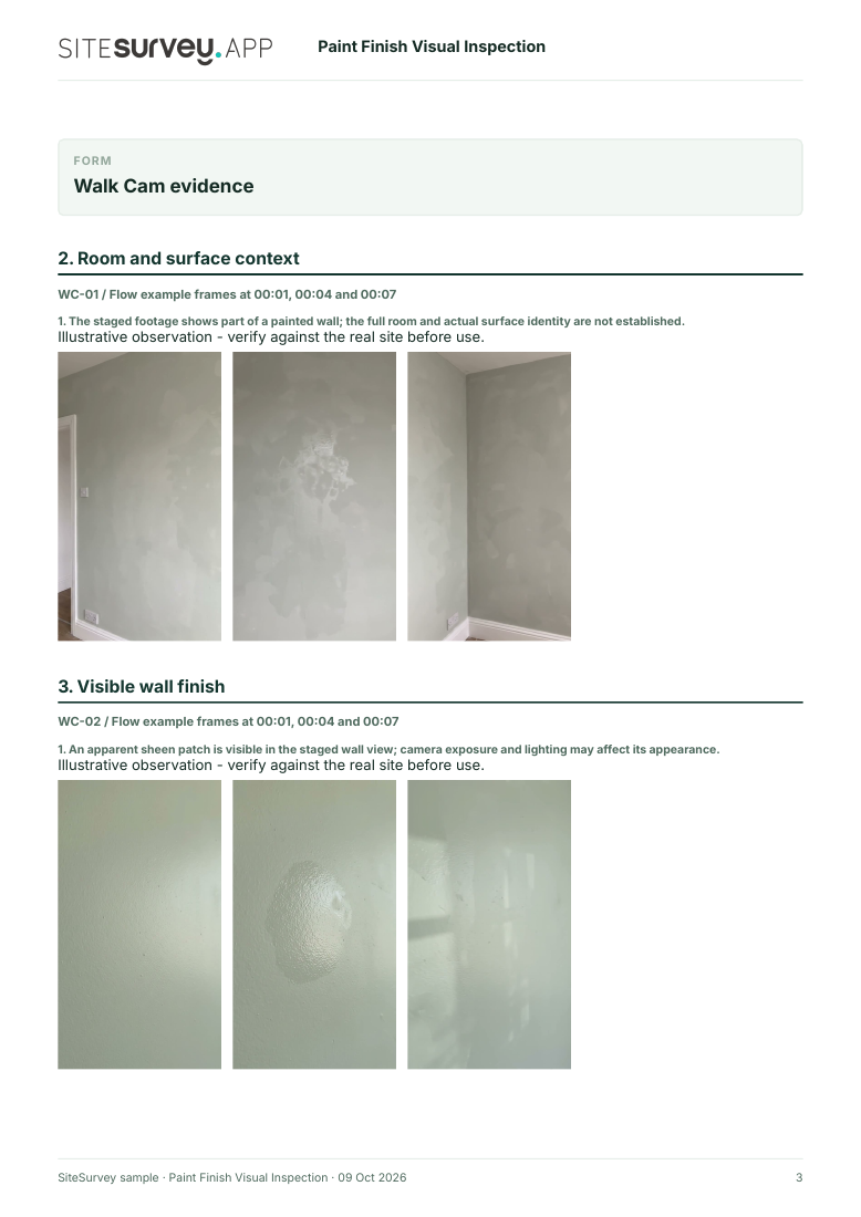 Visual evidence page from the Paint finish visual inspection report, with footage stills and observations