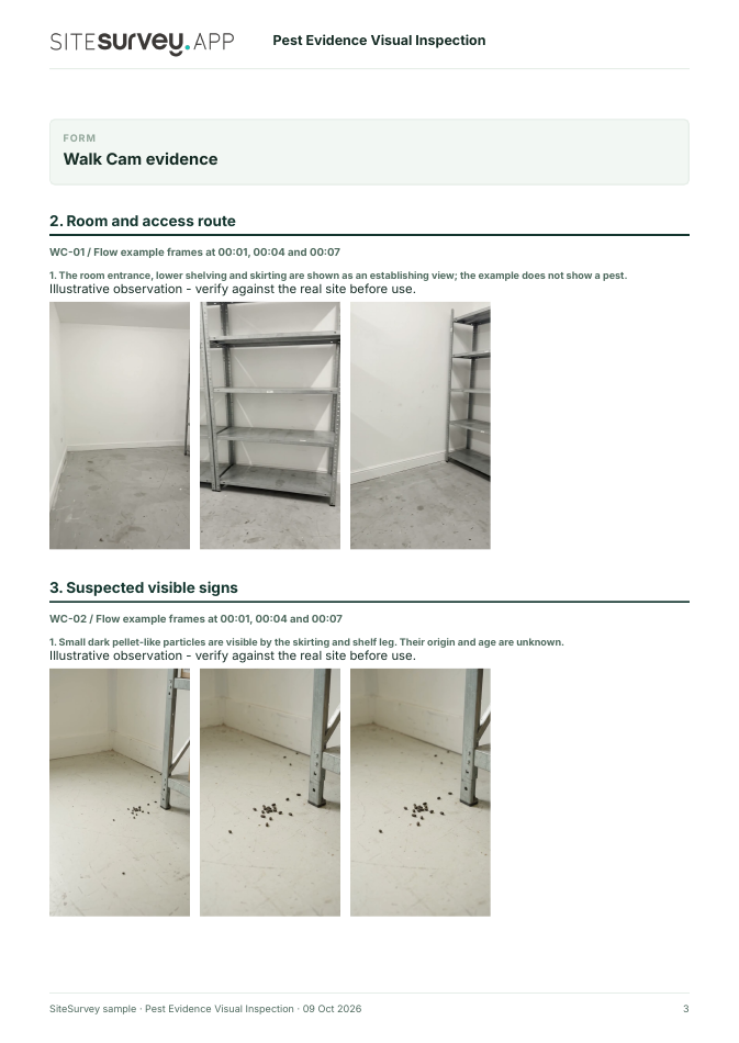 Visual evidence page from the Pest evidence visual inspection report, with footage stills and observations