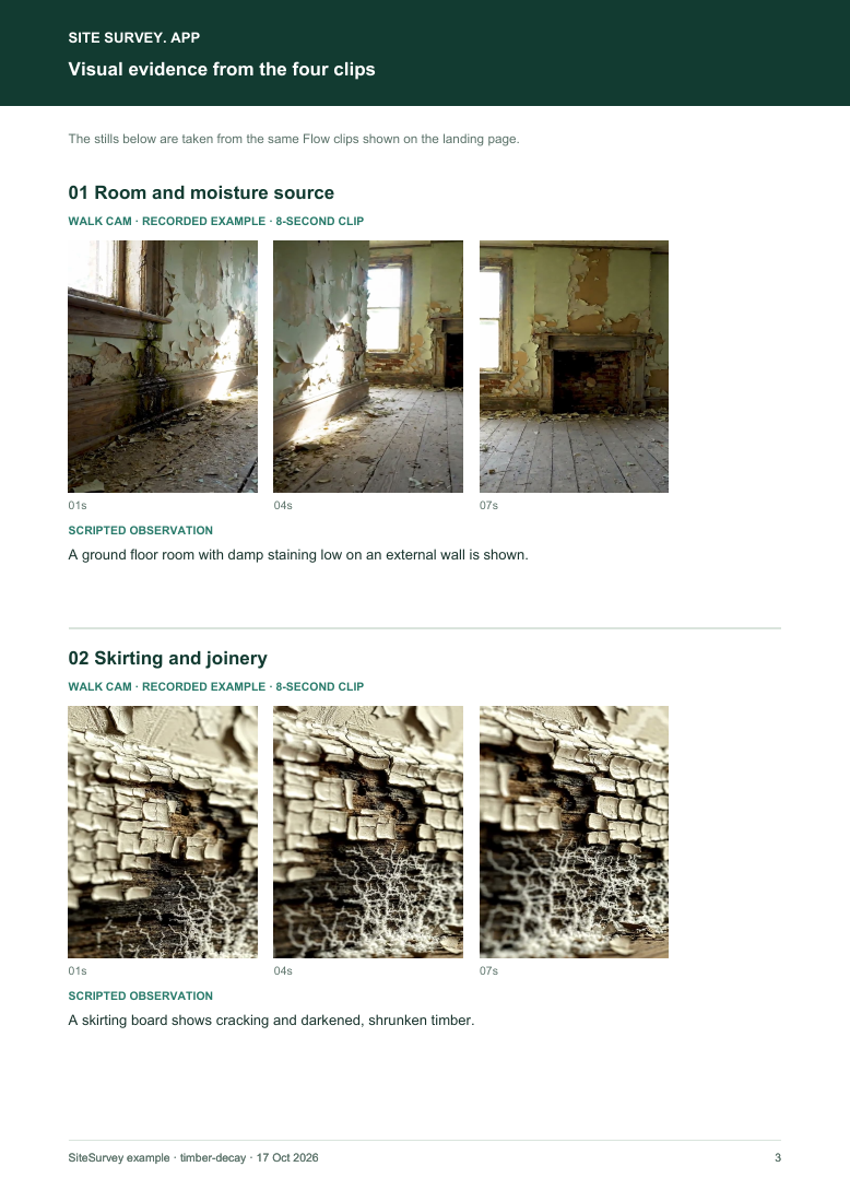 Visual evidence page from the dry rot and timber decay inspection visual route sample report, with footage stills and observations