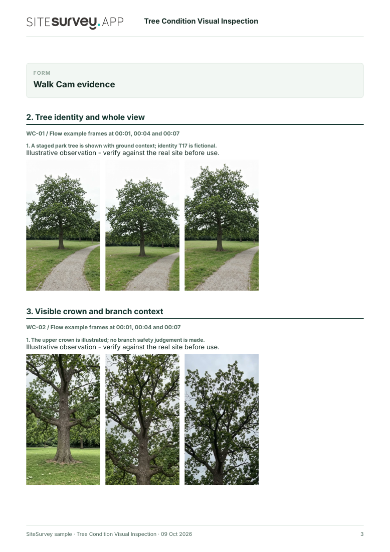Visual evidence page from the Tree condition visual inspection report, with footage stills and observations